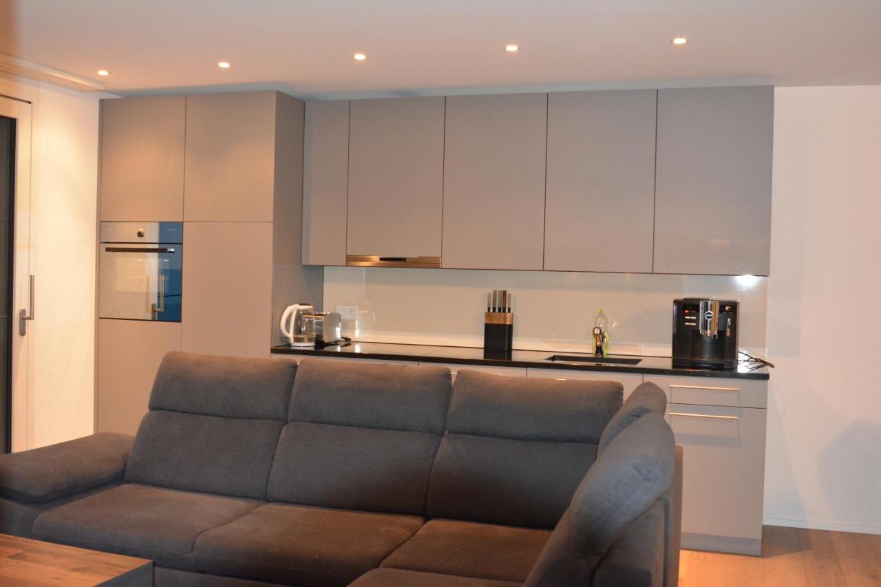Brand New Apartment Surrounded By Nature Schattdorf Dış mekan fotoğraf